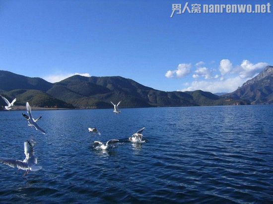 迷醉泸沽湖