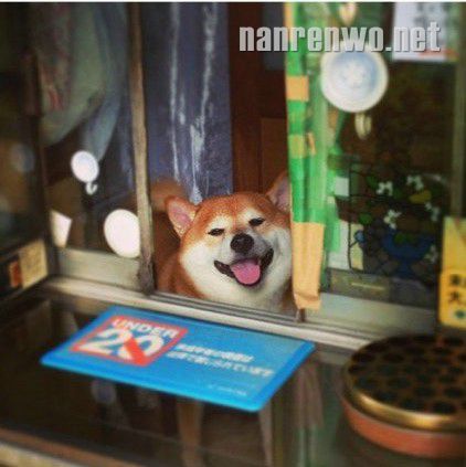 ̵ꡰϰ塱Ƶճ