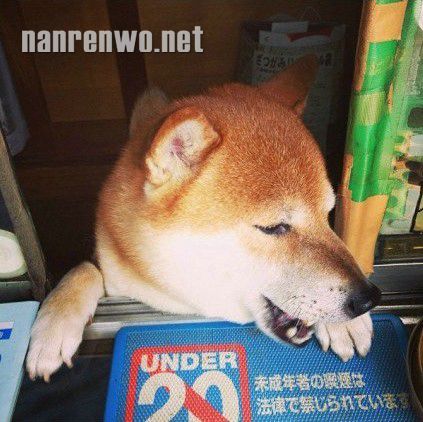 ̵ꡰϰ塱Ƶճ
