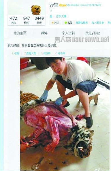 网友晒剥老虎皮照引指责 残害手法让网友颤抖