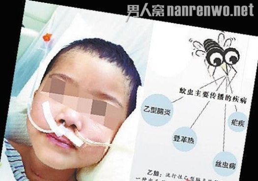 4岁女孩遭蚊子叮咬昏迷83天 医生：不清楚何时能苏醒