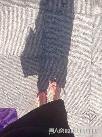 ֤ʵ϶̥