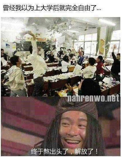 梦想与现实的差距 还特么让不让人活了