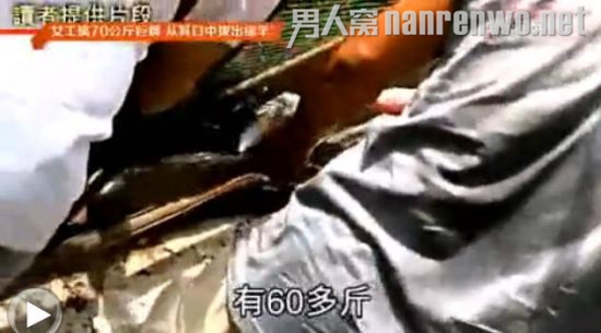 威猛女工蟒口拔羊被称真汉子 独自擒获70公斤蟒蛇