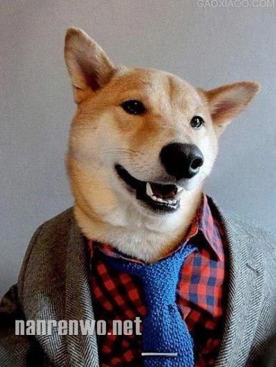 ģŷʱд