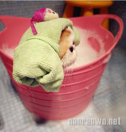 СȻ˵pl