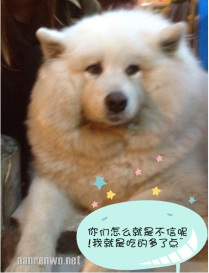 СֵģûֳĹ