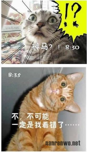 喵星人生动演绎上班族的一天 好真实！