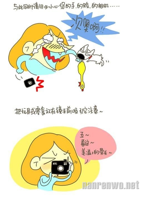 丁一晨漫画系列：怎样给你的二货宠物拍出一张萌照
