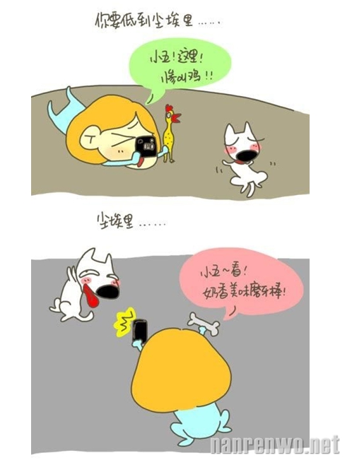 丁一晨漫画系列：怎样给你的二货宠物拍出一张萌照