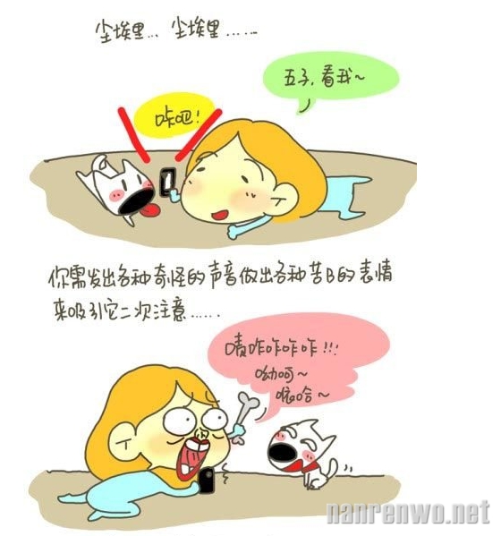 丁一晨漫画系列：怎样给你的二货宠物拍出一张萌照