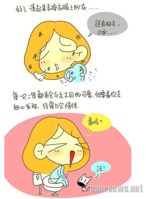 丁一晨漫画系列：怎样给你的二货宠物拍出一张萌照