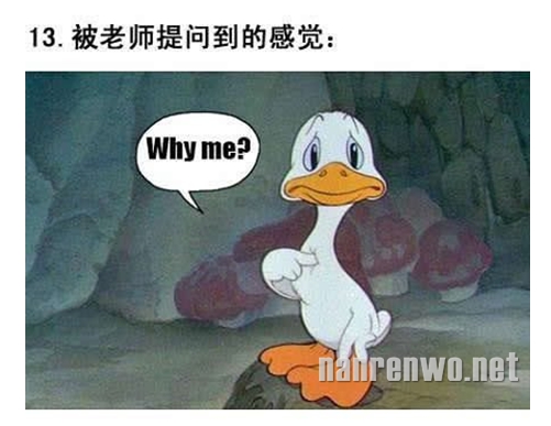 图文并茂叙述生活点滴 好真切！