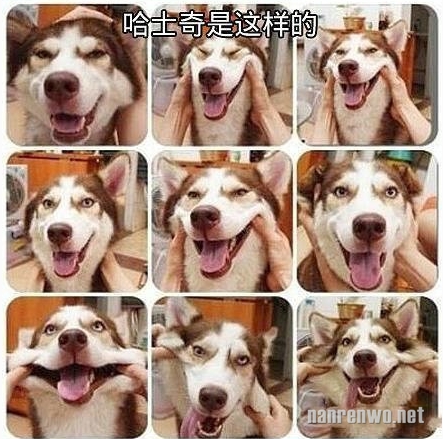 ʿ