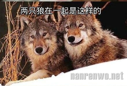 ֻһʱ