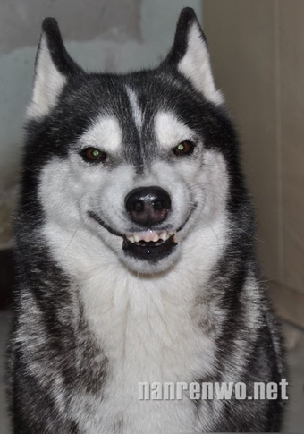 ʿЦͼбĶ