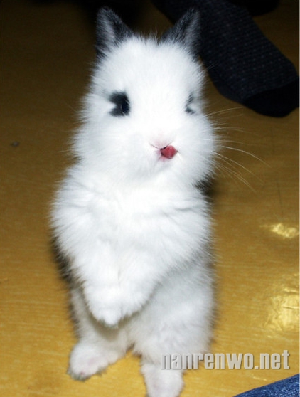 СרɰʺˣȻˣ