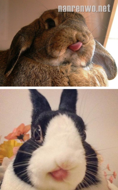 СרɰʺˣȻˣ