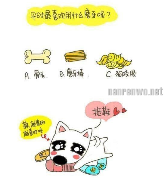 丁一晨漫画系列之狗狗的选择