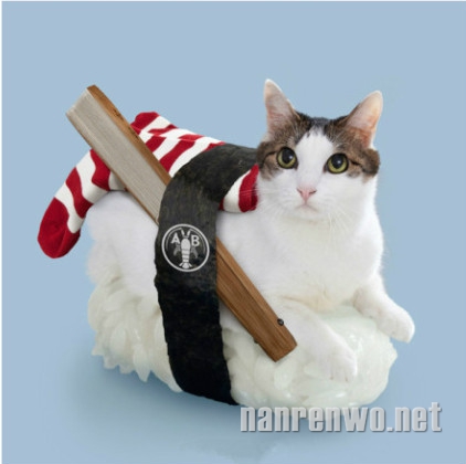 老板，请给我来一份各种萌的猫咪寿司！