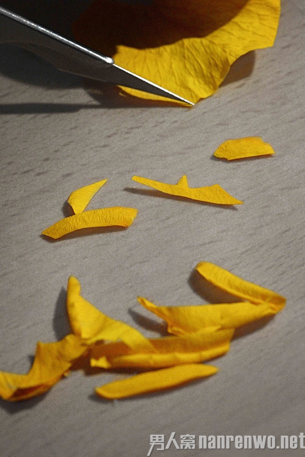 Ļ