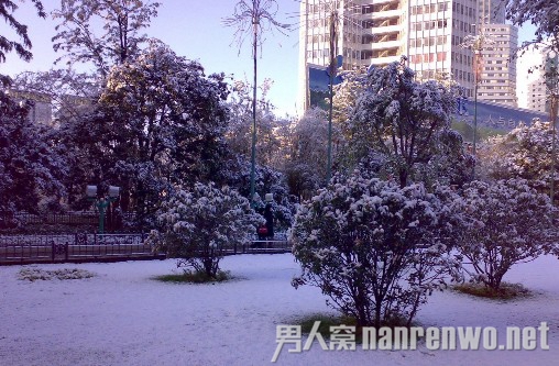 昆明下雪启动三级应急机制