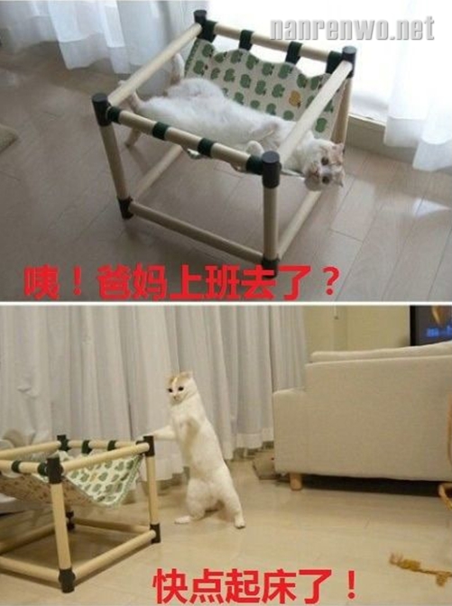 Сʱ򣬰費ڼǲҲأ