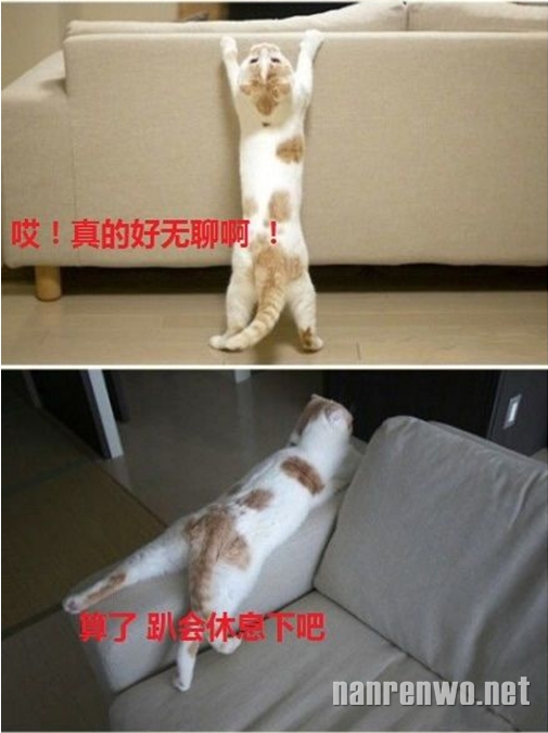 Сʱ򣬰費ڼǲҲأ