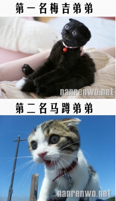 һӰý󹫲