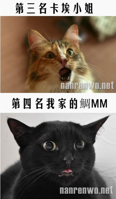 һӰý󹫲