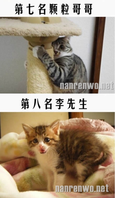 һӰý󹫲