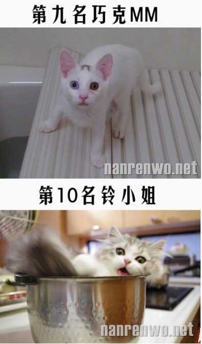 һӰý󹫲