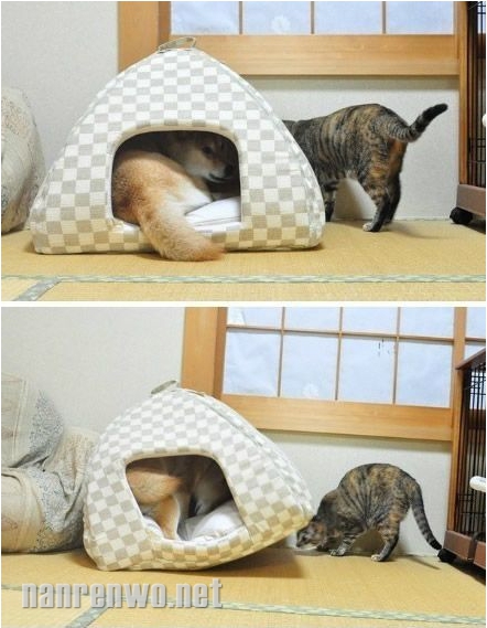 ι!СѺҵ!