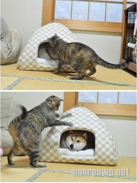ι!СѺҵ!