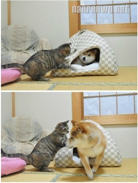 ι!СѺҵ!