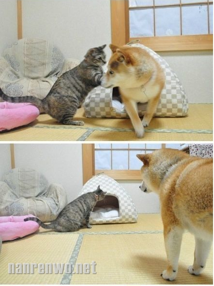ι!СѺҵ!