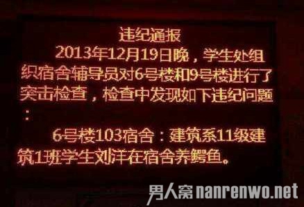 最猛违纪通报：学生在宿舍养鳄鱼惊呆宿管