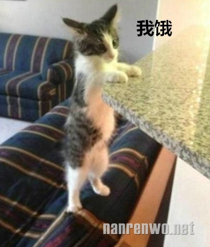 ˵ȷ״̬ȷʱǽ!