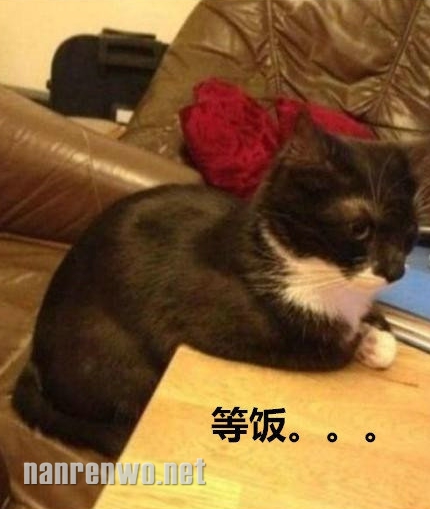 ˵ȷ״̬ȷʱǽ!