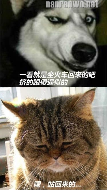 每次过年回家,你们聊我先走了...