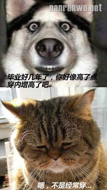 每次过年回家,你们聊我先走了...