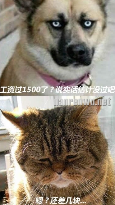 每次过年回家,你们聊我先走了...