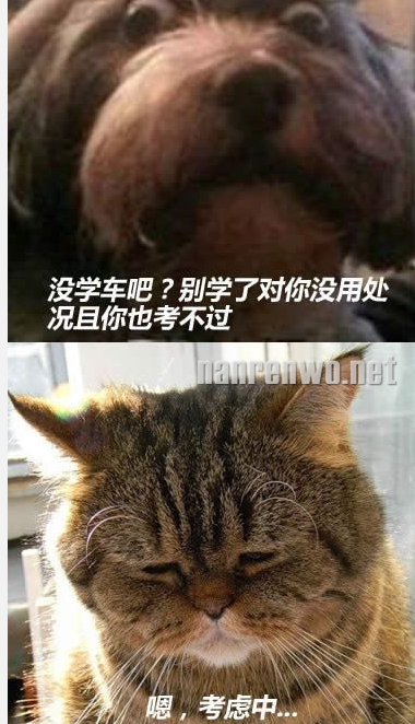 每次过年回家,你们聊我先走了...