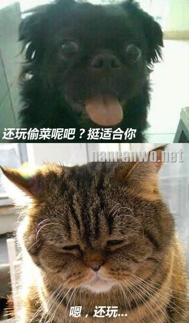 每次过年回家,你们聊我先走了...