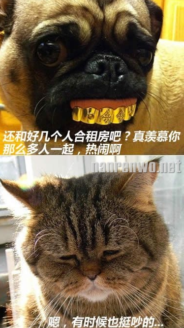 每次过年回家,你们聊我先走了...