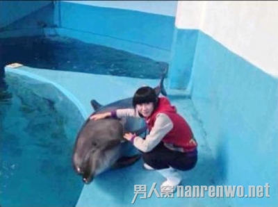 女主持人逗海豚溺亡