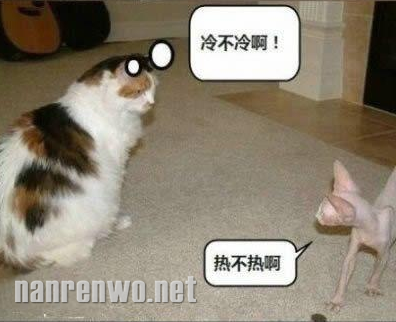 喵星人大汇集 你们怎么可以这么可爱！