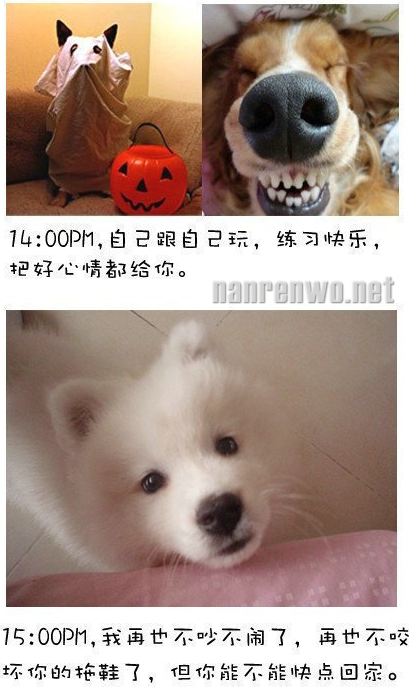 ˲ڼңʱ޿̲ˡ 