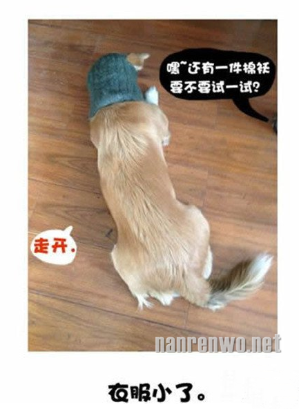 喂！我可以说我后悔了吗？