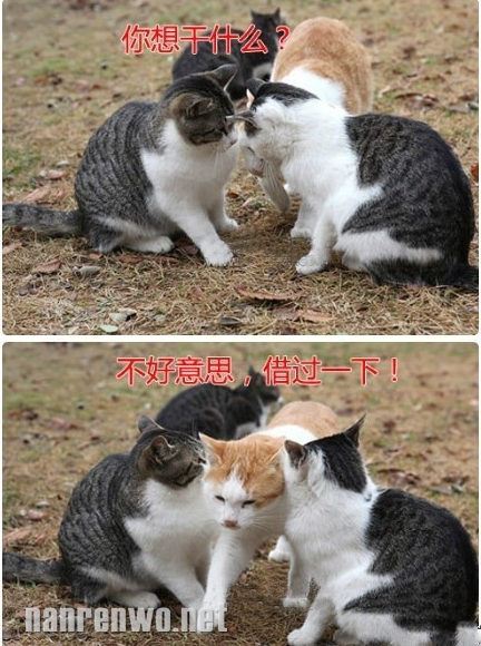 ˾ЦĶû֮һ  